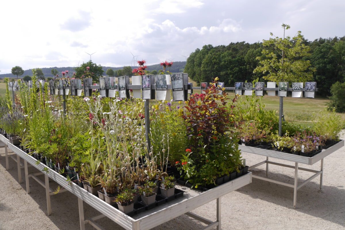 Der Staudenhof Gärtnerei 99 Gärten Schrebergartenverein