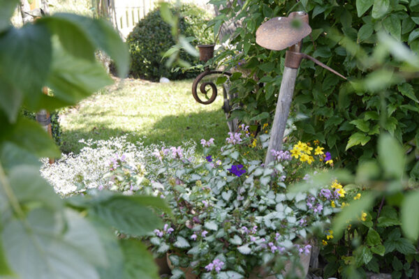 GARTEN PACHTEN 99 Gärten Schrebergartenverein