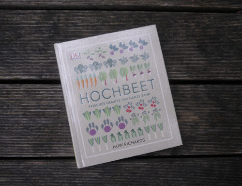 Hochbeet: Frisches Gemüse das ganze Jahr