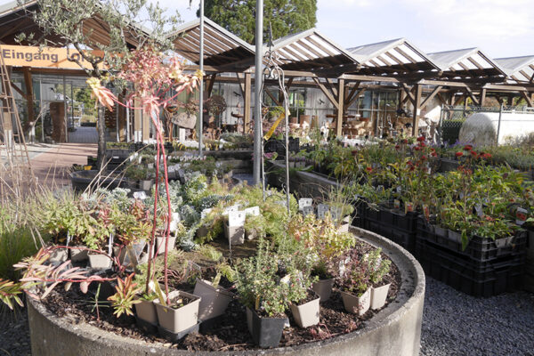 Garten Punzmann Gärtnerei und Baumschule 99 Gärten Schrebergartenverein