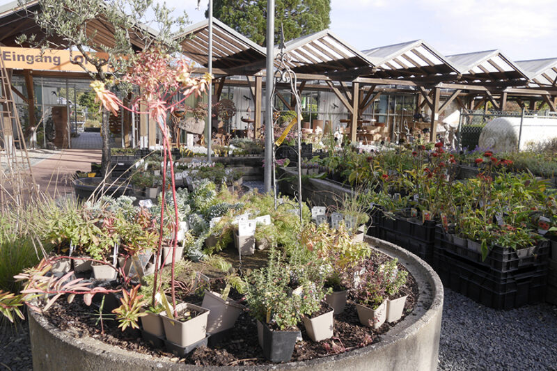Garten Punzmann Gärtnerei und Baumschule 99 Gärten Schrebergartenverein