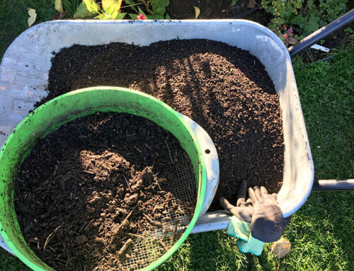 Kompost – Abfall recyceln, Boden wirksam verbessern