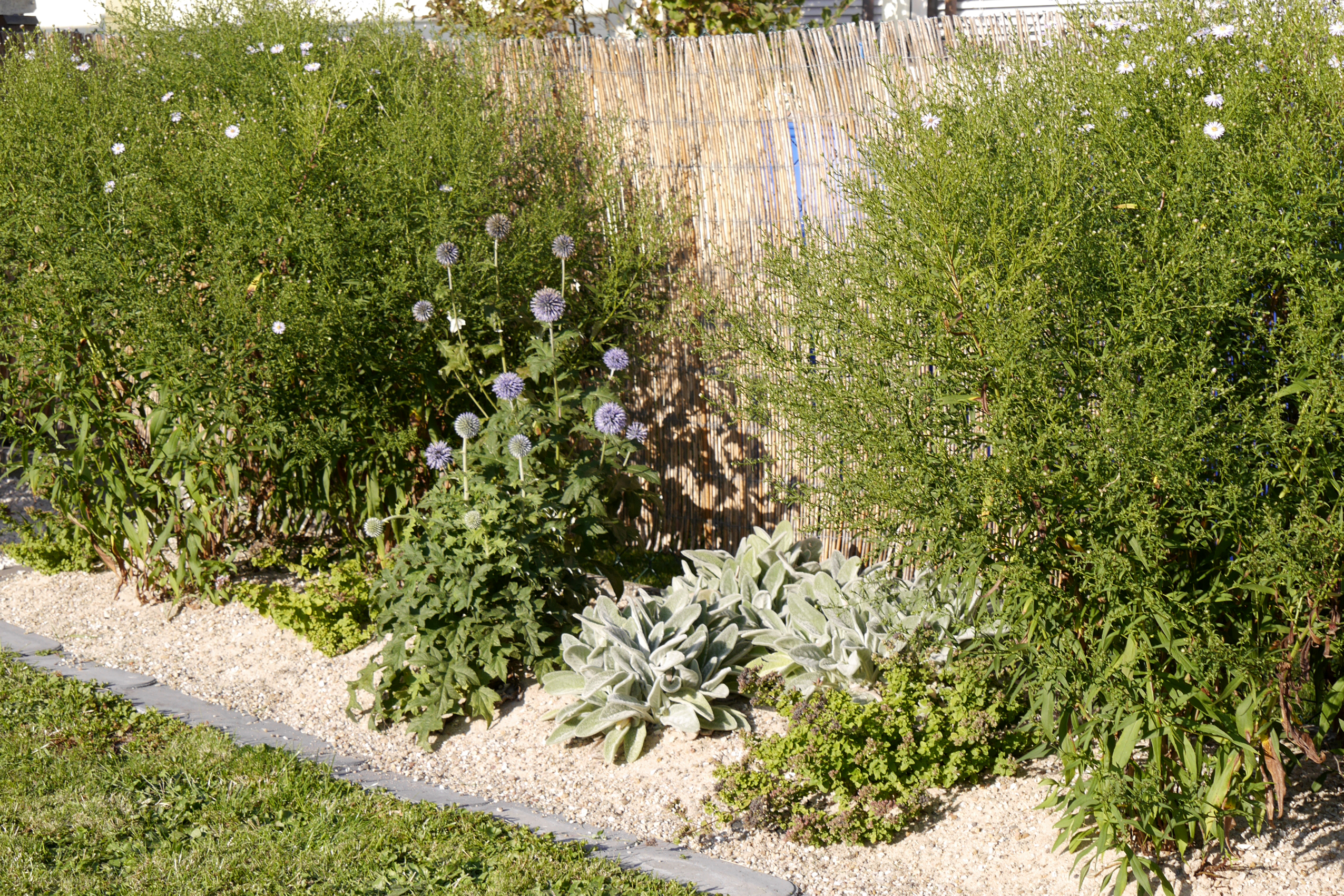 Sandbeet Schrebergartenverein September