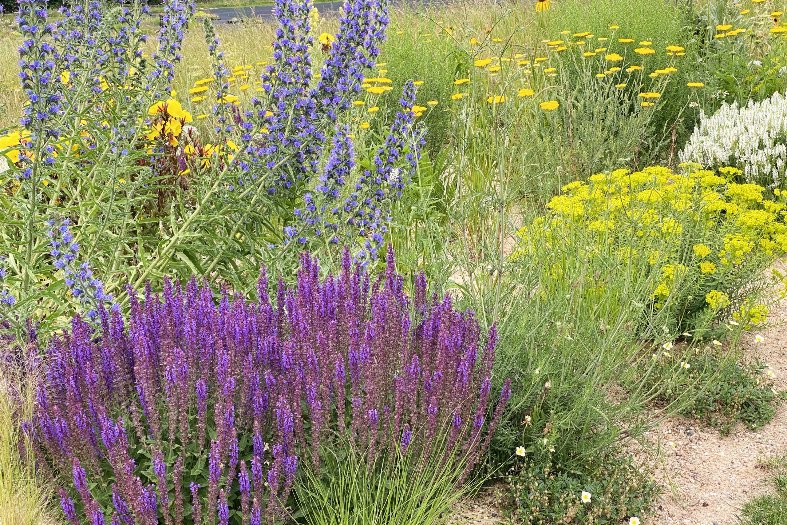 Sandbeet Gärtnerei Staudenhof