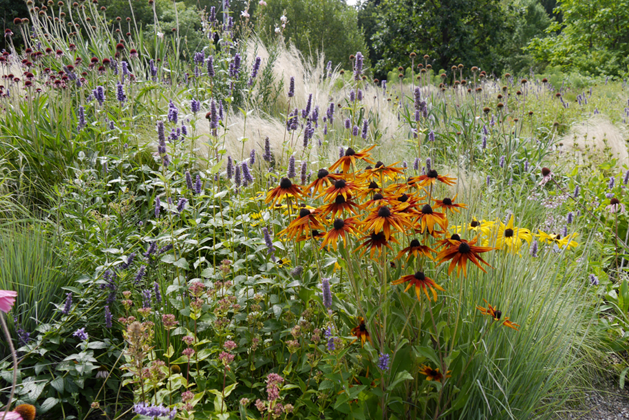 prärie-botanisch-ökologischer-garten-bt