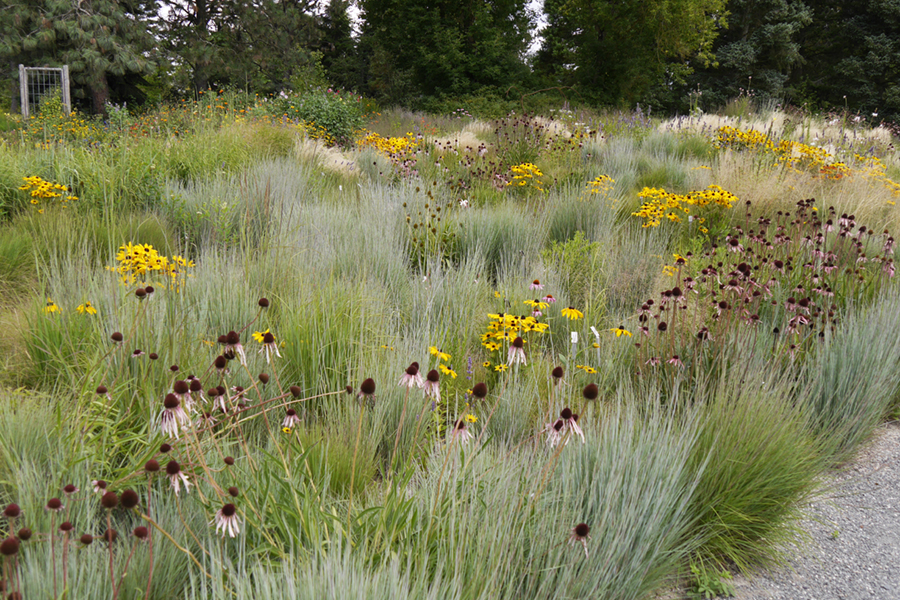 prärie-botanisch-ökologischer-garten-bt
