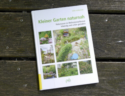 Kleiner Garten naturnah – Naturoasen im Wohnzimmer-Format lebendig und schön gestalten