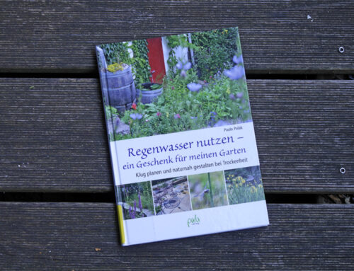 Regenwasser nutzen – ein Geschenk für meinen Garten. Klug planen und naturnah gestalten …
