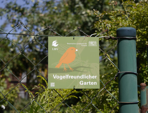 Vogelfreundliche Gärten – naturnahe Gartengestaltung