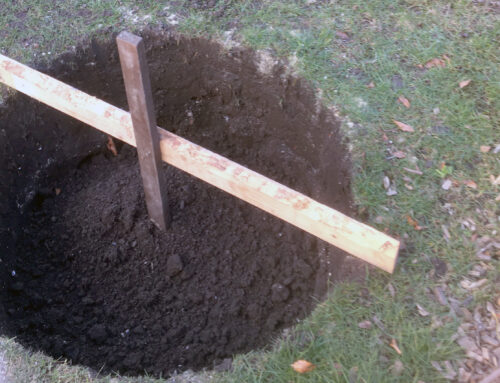 Anleitung: wurzelnackten Baum pflanzen