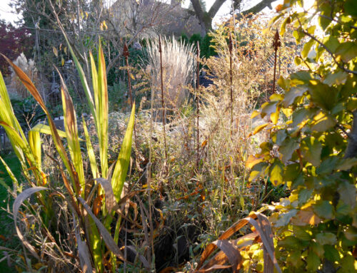 Im Herbst den Garten perfekt für den Frühling vorbereiten