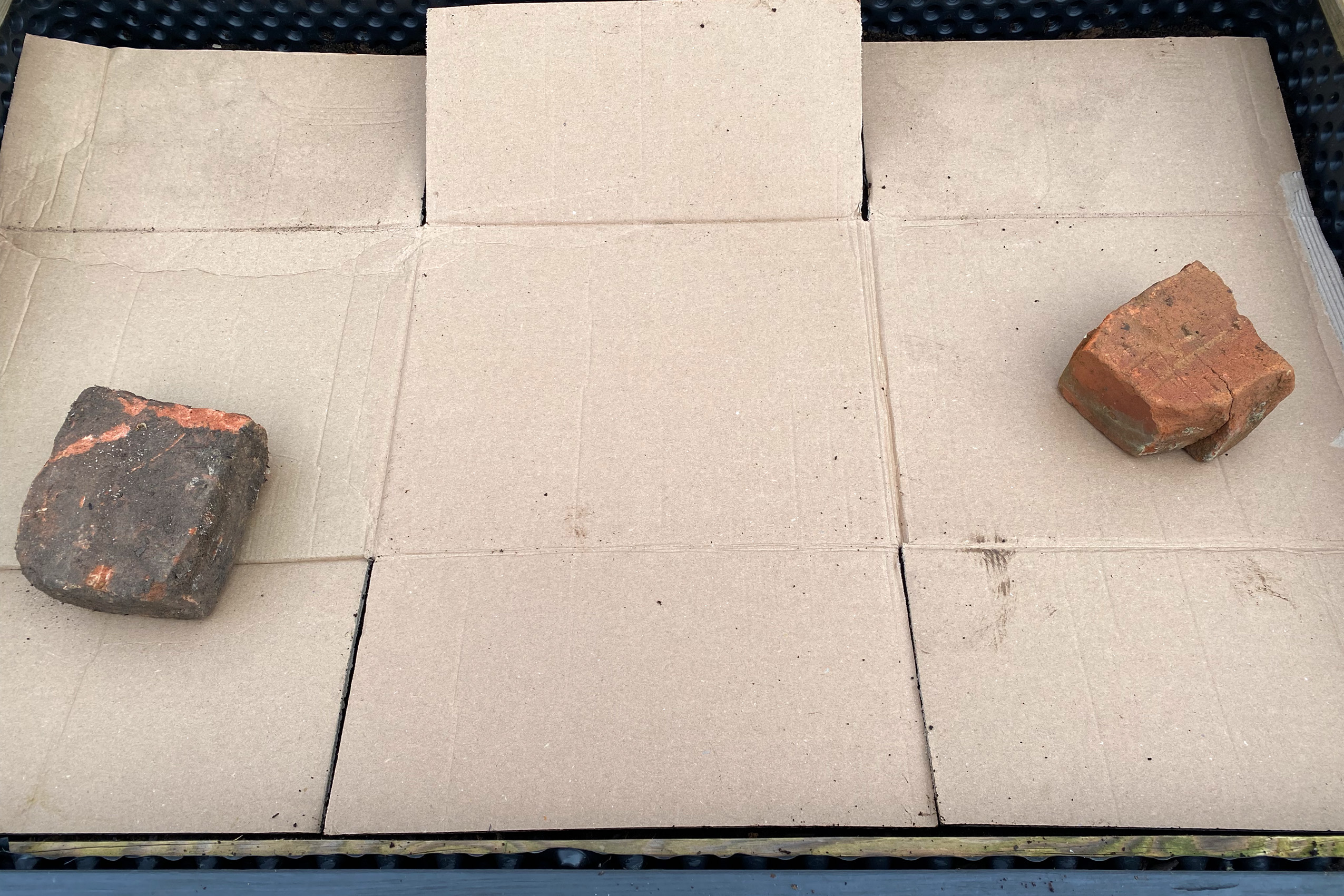 gemüsebeet-mulchen-abdecken