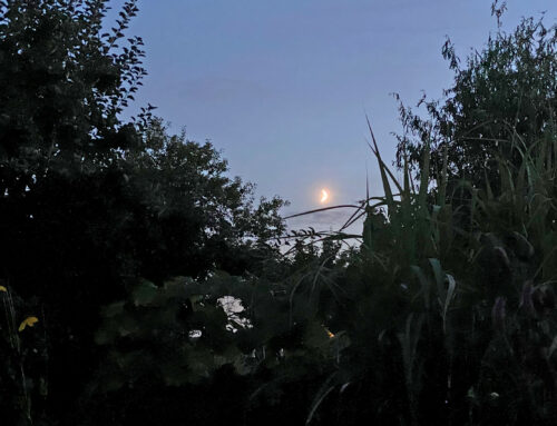 Dunkel war’s der Mond schien helle